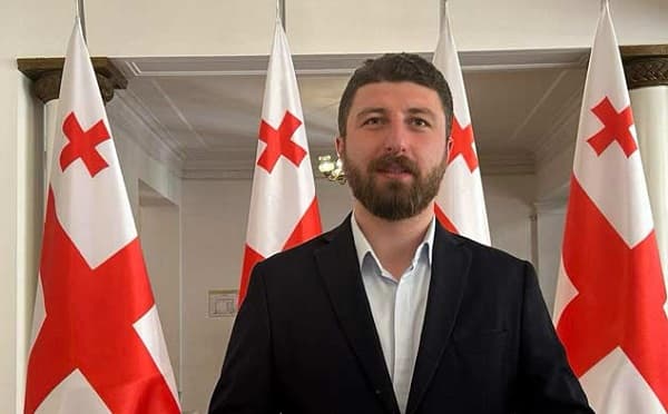 არჩილ გორდულაძე პარლამენტში