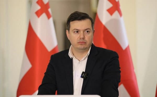 გიგა ფარულავა ბრიფინგზე
