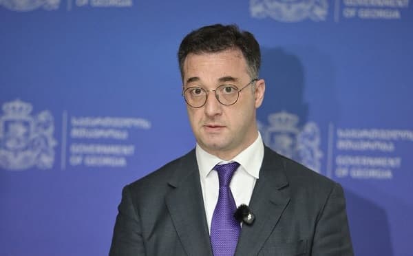დავით სონღულაშვილი სერბეთის პრეზიდენტის დელეგაციასთან შეხვედრისას