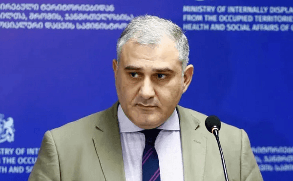 ჯანდაცვის მინისტრი მიხეილ სარჯველაძე ბრიფინგზე