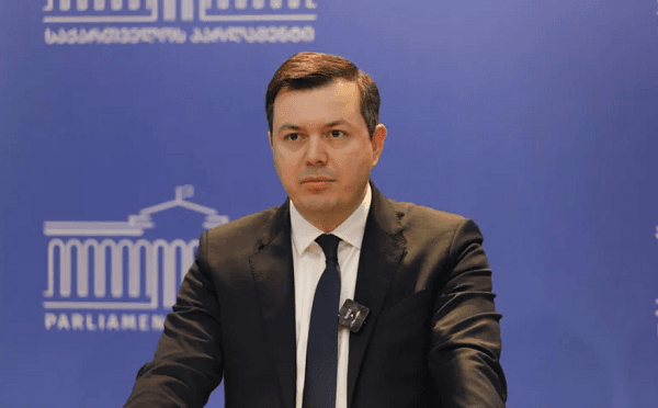 გიგა ფარულავა ბრიფინგზე პარტიის კანონპროექტის შესახებ საუბრობს