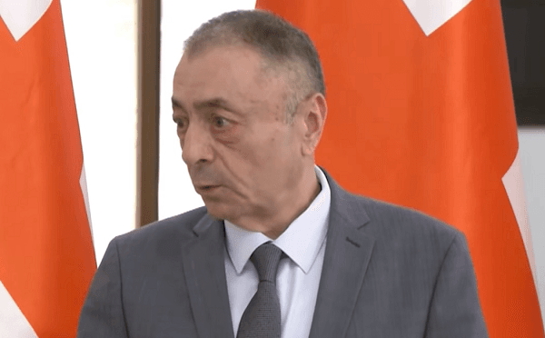 თენგიზ შარმანაშვილი პარლამენტში
