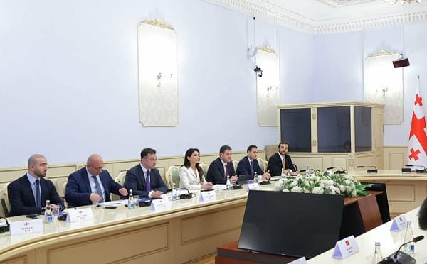დავით სონღულაშვილი ყირგიზეთში გამართულ სხდომაზე