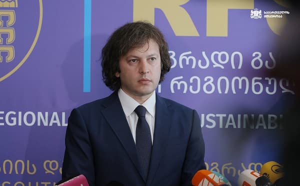 ირაკლი კობახიძე დოკუმენტური ფილმის პრეზენტაციაზე