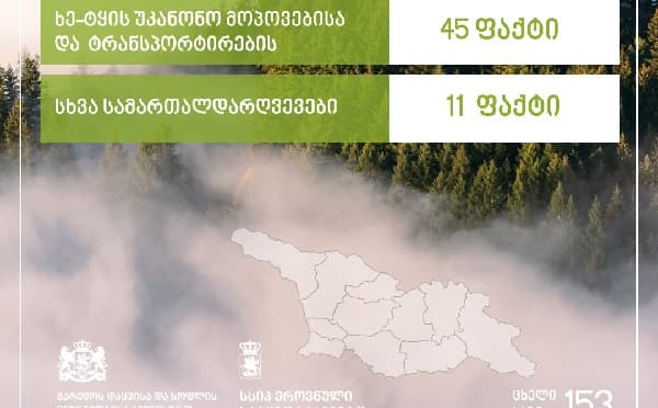 ეროვნული სატყეო სააგენტოს თანამშრომლები ტყის მასივში მონიტორინგის დროს