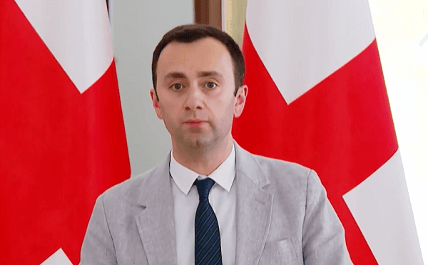 ლევან მახაშვილი პარლამენტის ტრიბუნასთან