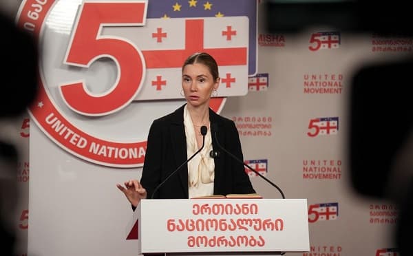 თინა ბოკუჩავა ბრიფინგზე