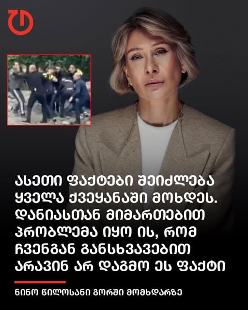 ნინო წილოსანი პარლამენტის ტრიბუნასთან