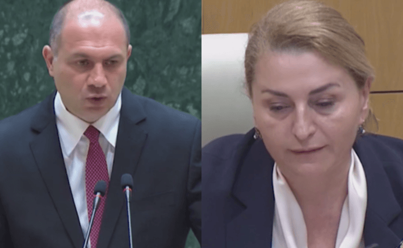გივი მიქანაძე პარლამენტის ტრიბუნასთან