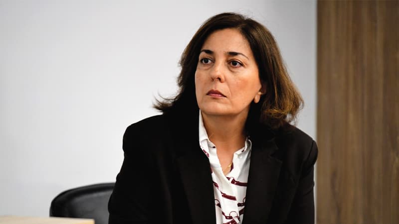 თეა წულუკიანი პარლამენტში