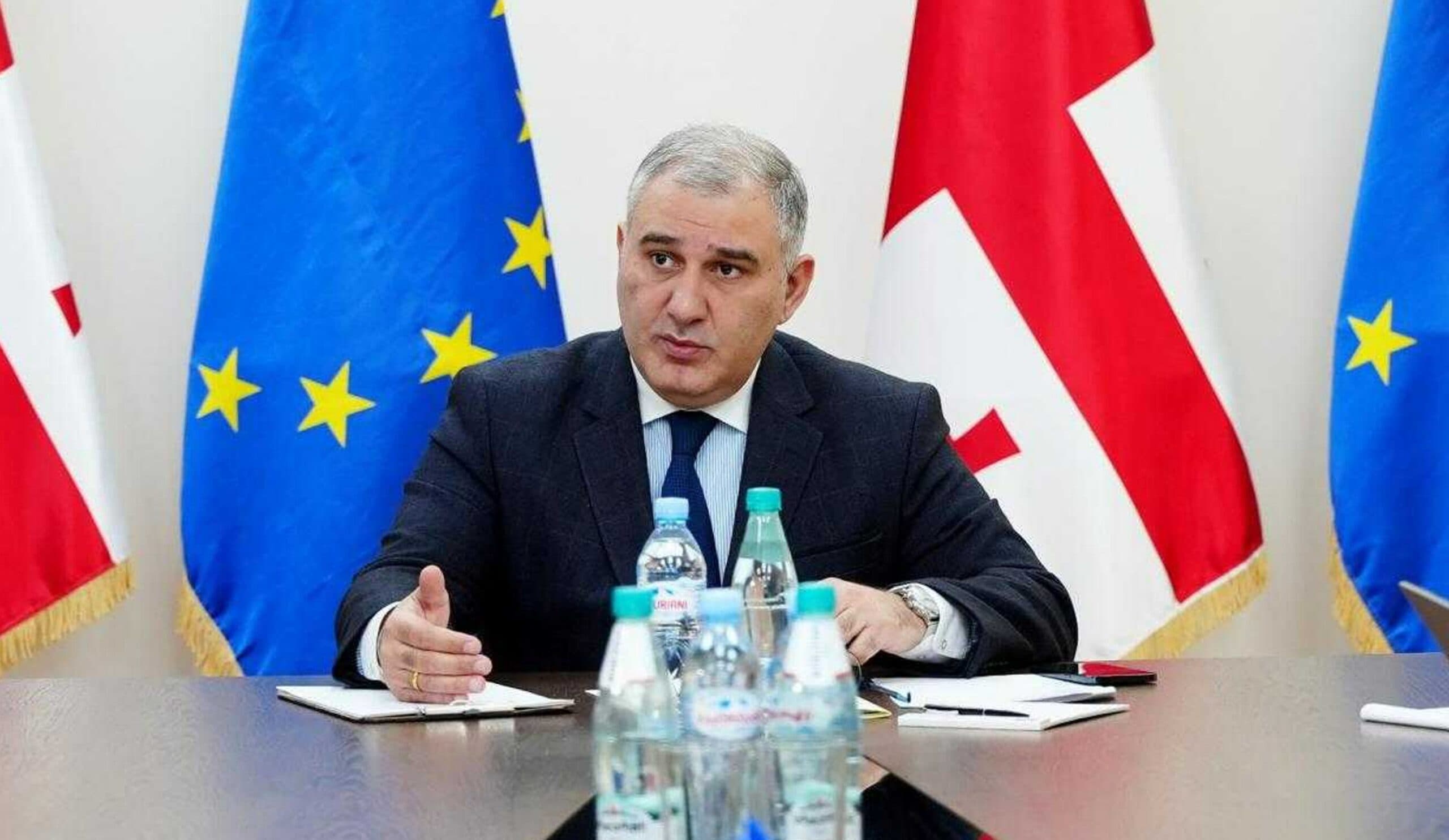 მიხეილ სარჯველაძე ჯანდაცვის სამინისტროში