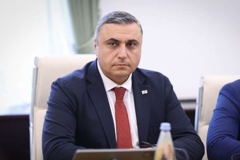 დავით მათიკაშვილი საქართველოს პარლამენტში