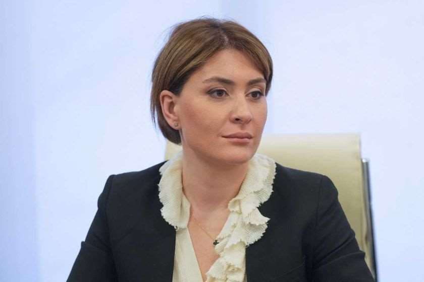 თამარ იოსელიანი, ეკონომიკის მინისტრის მოადგილე