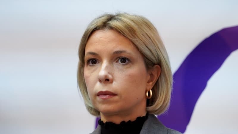 ნინო ლომჯარია ბრიფინგზე
