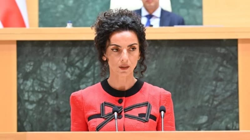 ხათუნა თოთლაძე პარლამენტის სხდომაზე