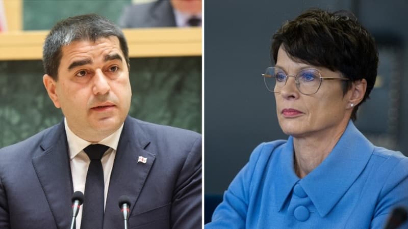 შალვა პაპუაშვილი და ევროკავშირის დროშები