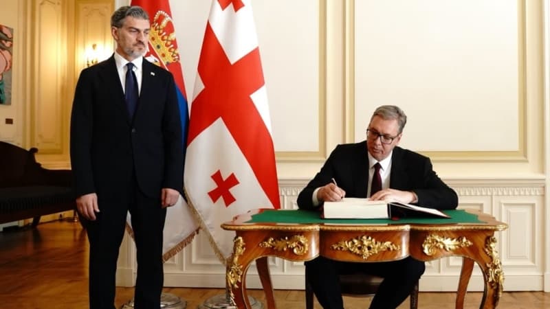 მიხეილ ყაველაშვილი და ალექსანდარ ვუჩიჩი თბილისში