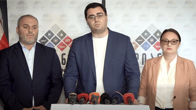 გიგა ლემონჯავა ოპოზიციური ალიანსის ბრიფინგზე