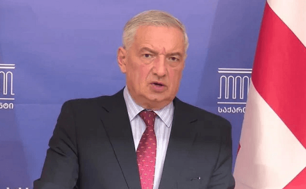 გია ვოლსკი პარლამენტის ტრიბუნასთან