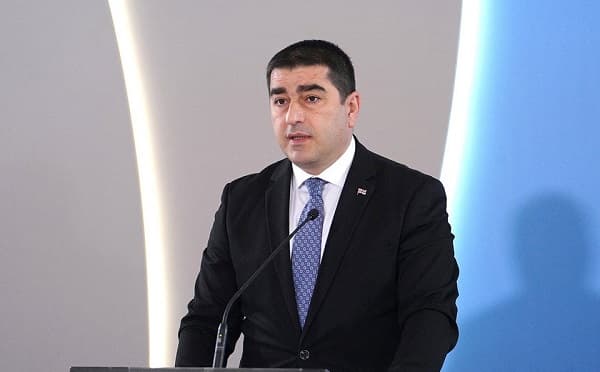 შალვა პაპუაშვილი პრესკონფერენციის დროს