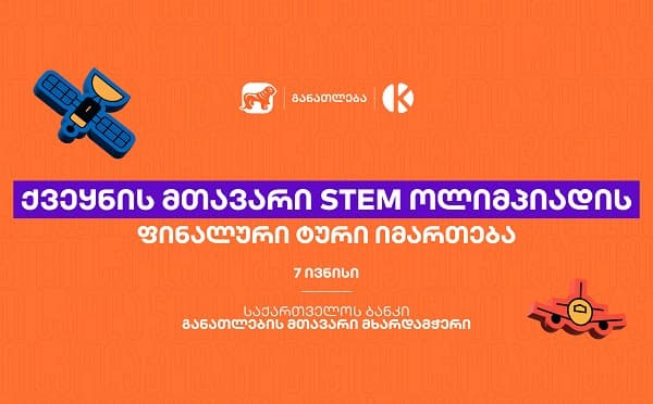 STEM ოლიმპიადის მონაწილე მოსწავლეები გუნდურ სამუშაო პროცესში