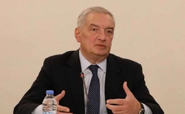 გია ვოლსკი პარლამენტში გამოსვლისას