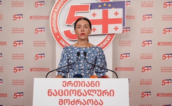 ანა წითლიძე პარტიის რეფორმებზე საუბრობს