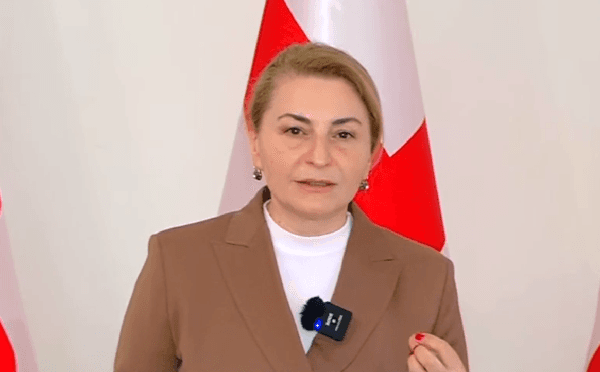 სოფიო ხორგუანი პარლამენტში