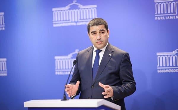 შალვა პაპუაშვილი პარლამენტში ბრიფინგის დროს