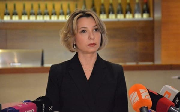 ნინო ლომჯარია პრესკონფერენციაზე