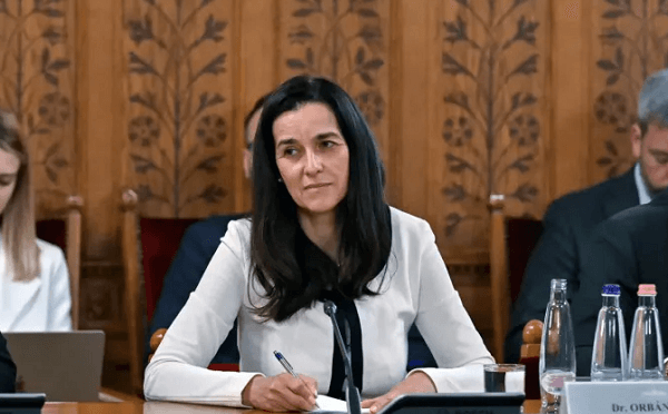 უკრაინისა და უნგრეთის დროშები საერთო შეხვედრის ფონზე