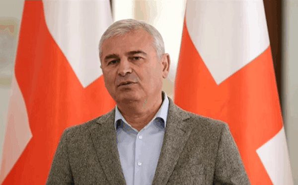 ირაკლი ქადაგიშვილი პარლამენტის ტრიბუნასთან