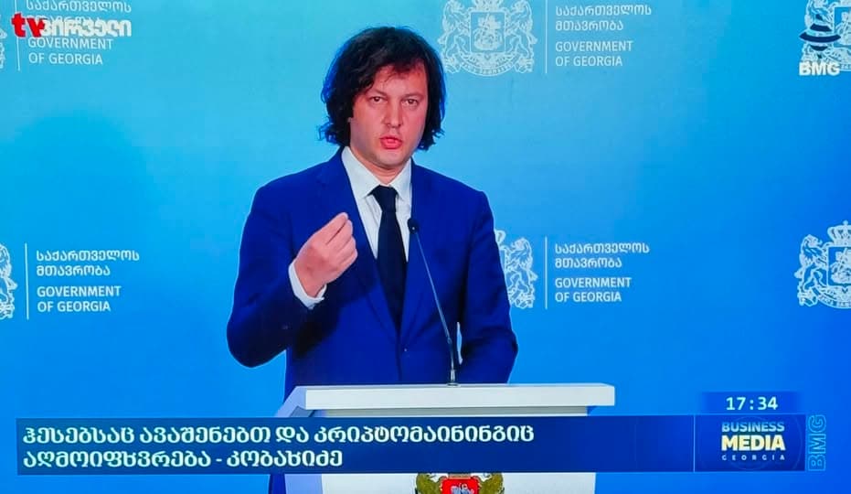 ნატო ჩხეიძე პოლიტიკური განცხადების გაკეთებისას