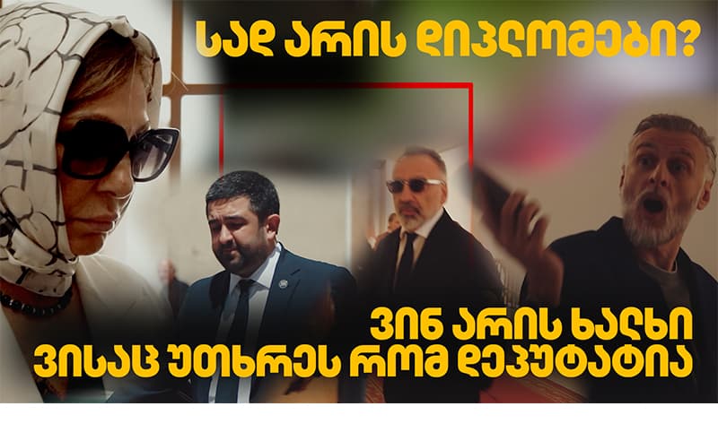 ეკა ჭიჭინაძე პარლამენტის სხდომათა დარბაზში