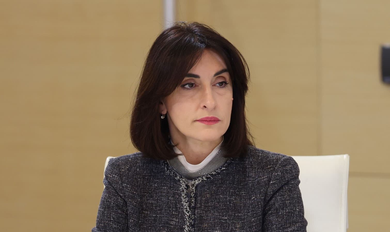 მაკა ბოჭორიშვილი მედიასთან საუბრისას