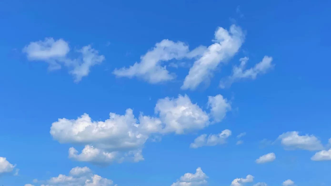 Bluesky-ის აპლიკაციის ინტერფეისი სმარტფონის ეკრანზე