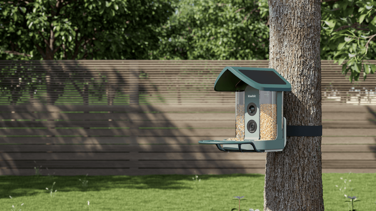 Kiwibit Bird Feeder Pro-ს ფოტო ეზოში, სადაც ჩანს ფრინველი